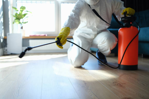 Reliable Odor Removal contractor in Swannanoa, NC by Trauma Clean Pros